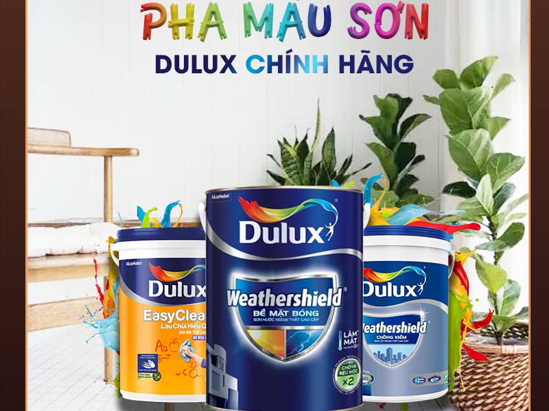 Máy pha sơn Dulux chính hãng